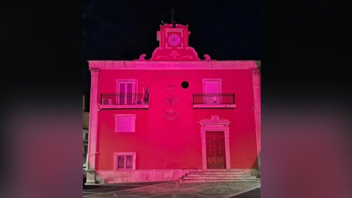 https://www.quotidianodelsud.it/wp-content/uploads/2026/10/comune-acquaro-rosa.jpg