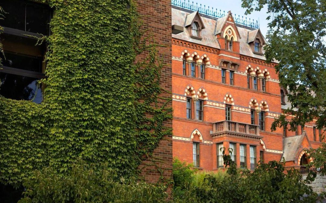 Stupro di gruppo alla Cornell University: aperta indagine penale