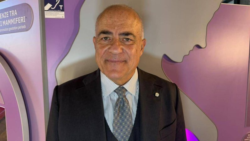 Rsv, D’Avino (Fimp): “Immunizzazione con clesrovimab dai pediatri di famiglia”