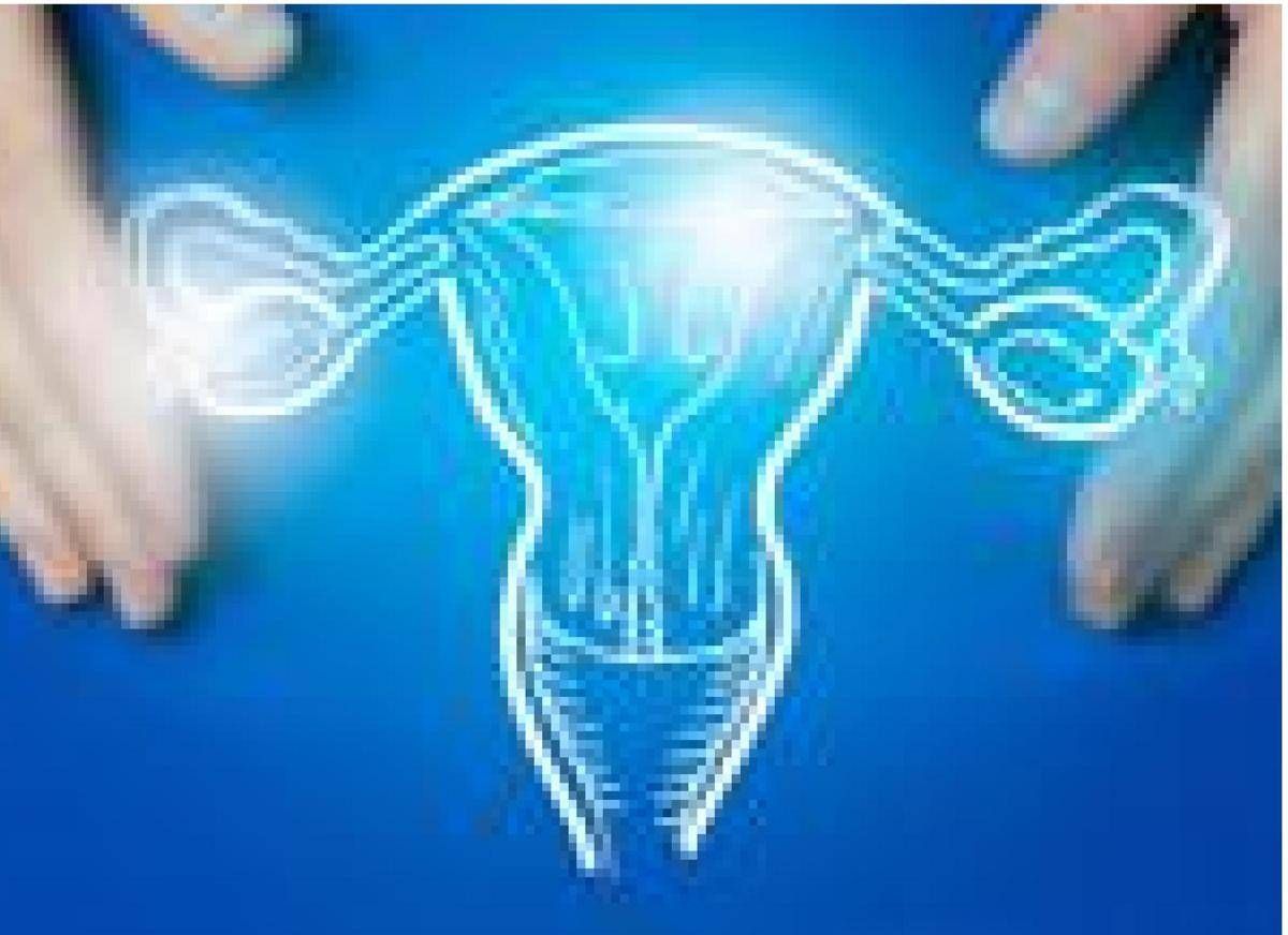 https://www.quotidianodelsud.it/wp-content/uploads/2026/10/endometrio-free-rit.jpeg