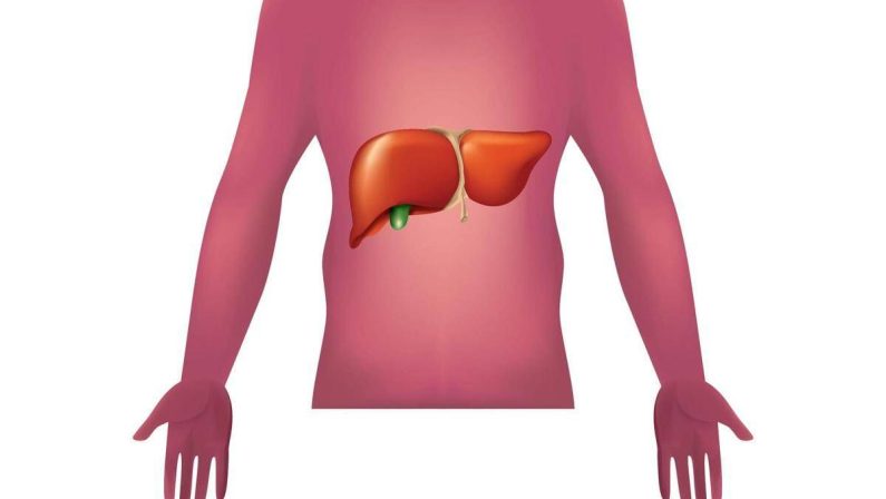 Malattie autoimmuni del fegato, nuova strategia con nanovettori in studio italiano