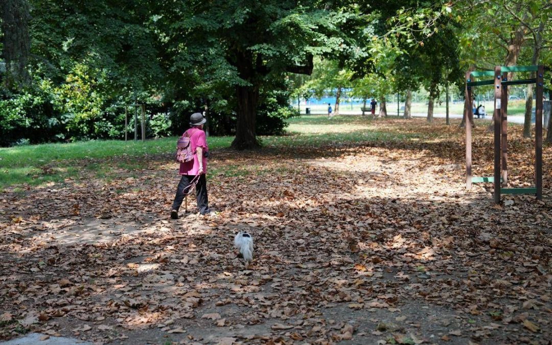 Meteo ottobre, l’Ottobrata conquista l’Italia: sole e temperature fino a 29°C