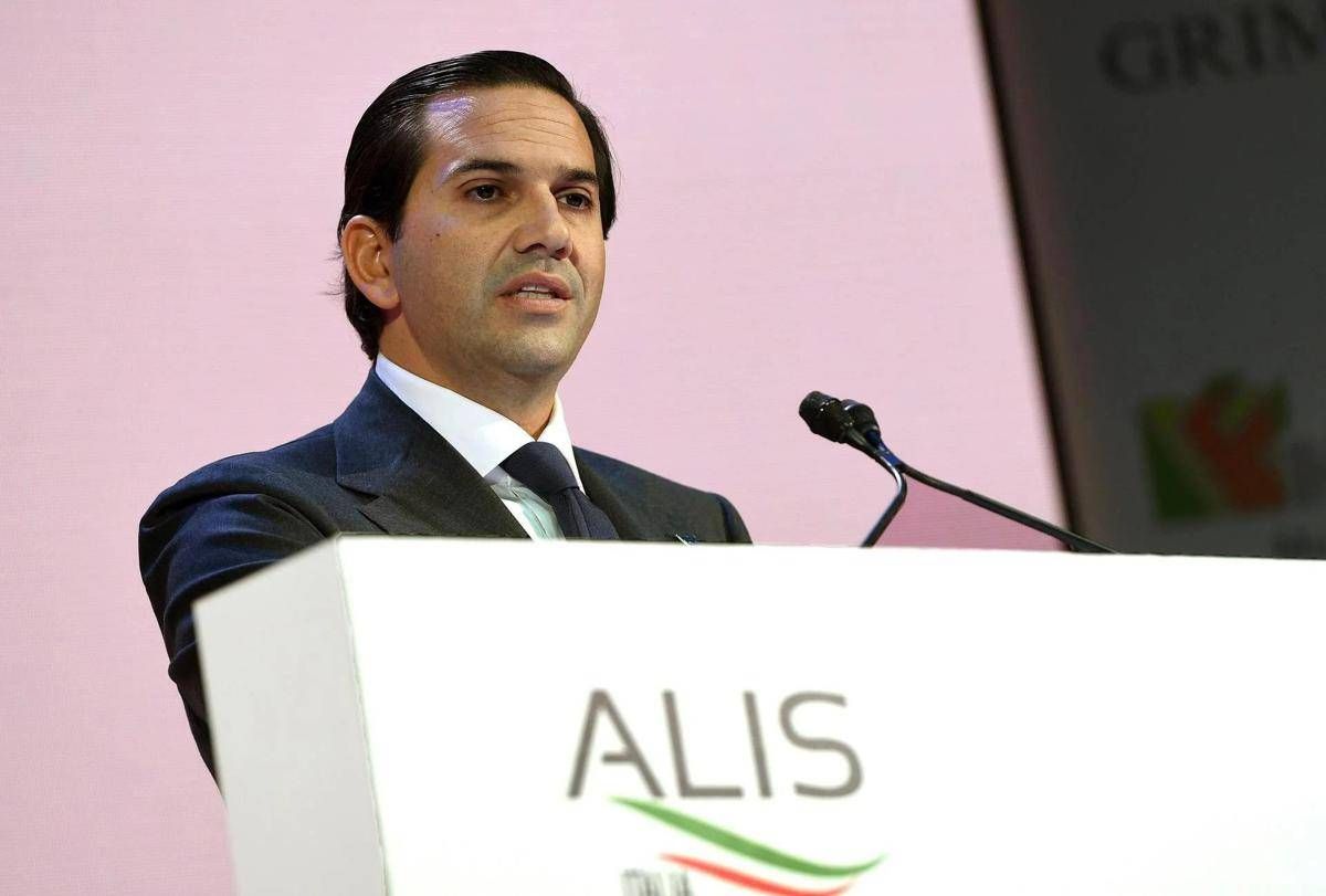 https://www.quotidianodelsud.it/wp-content/uploads/2026/10/grimaldi-alis-ipa.jpeg