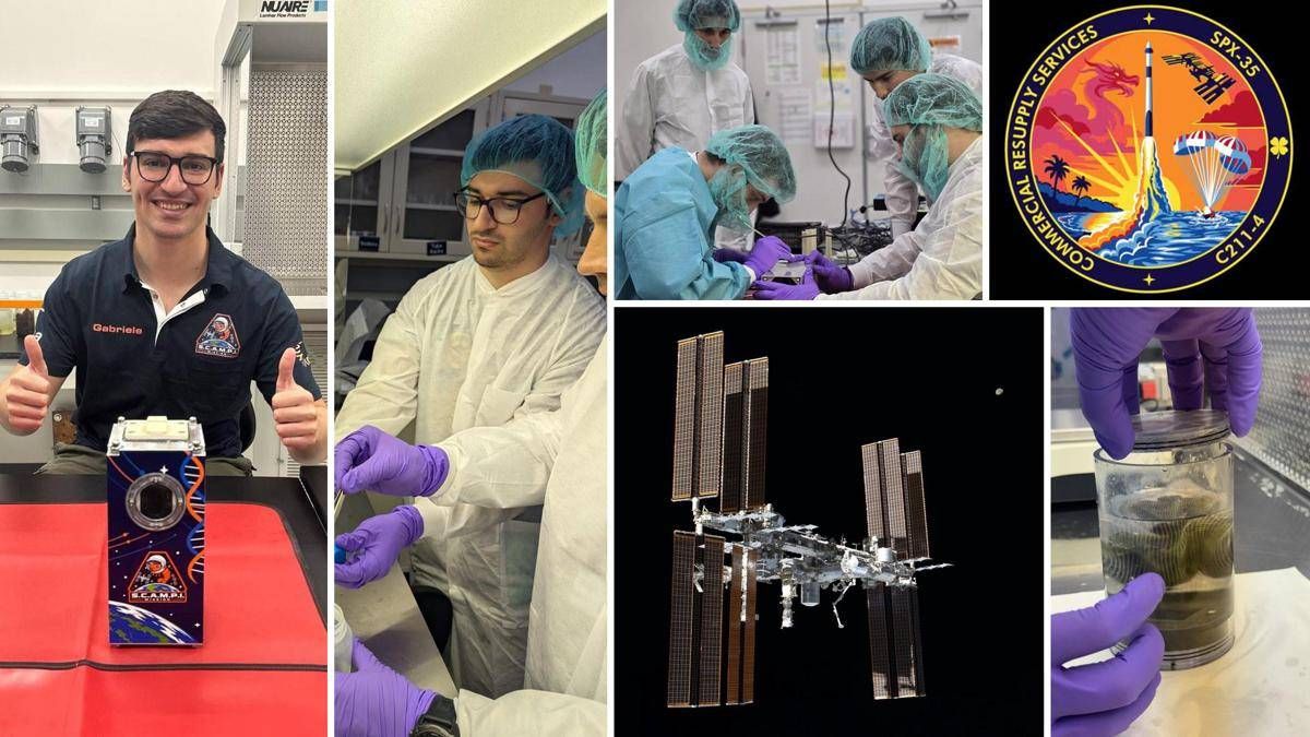 https://www.quotidianodelsud.it/wp-content/uploads/2026/10/img-0462.jpeg