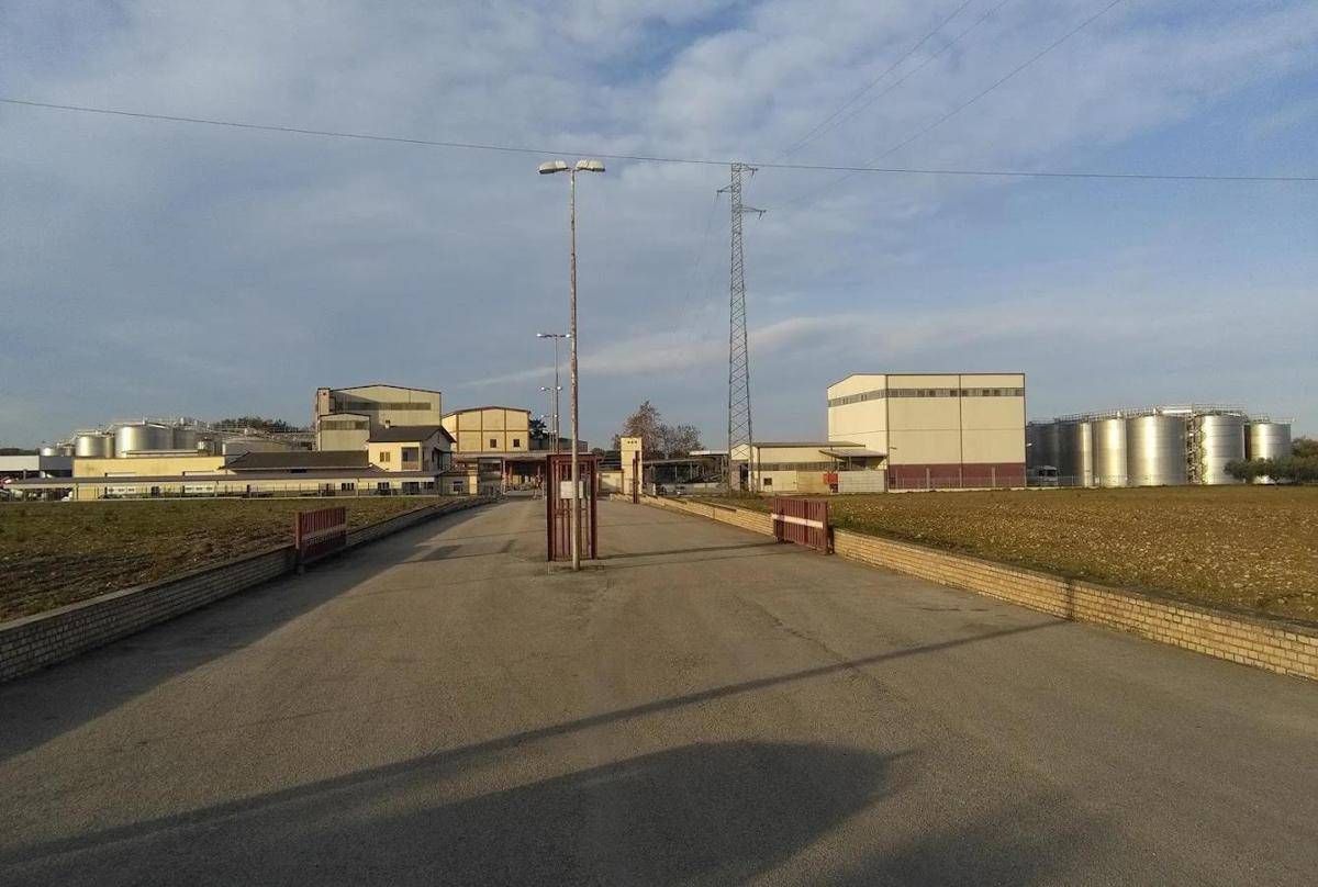 https://www.quotidianodelsud.it/wp-content/uploads/2026/10/img-20261015073443-cantina-scerni-collab4.jpeg