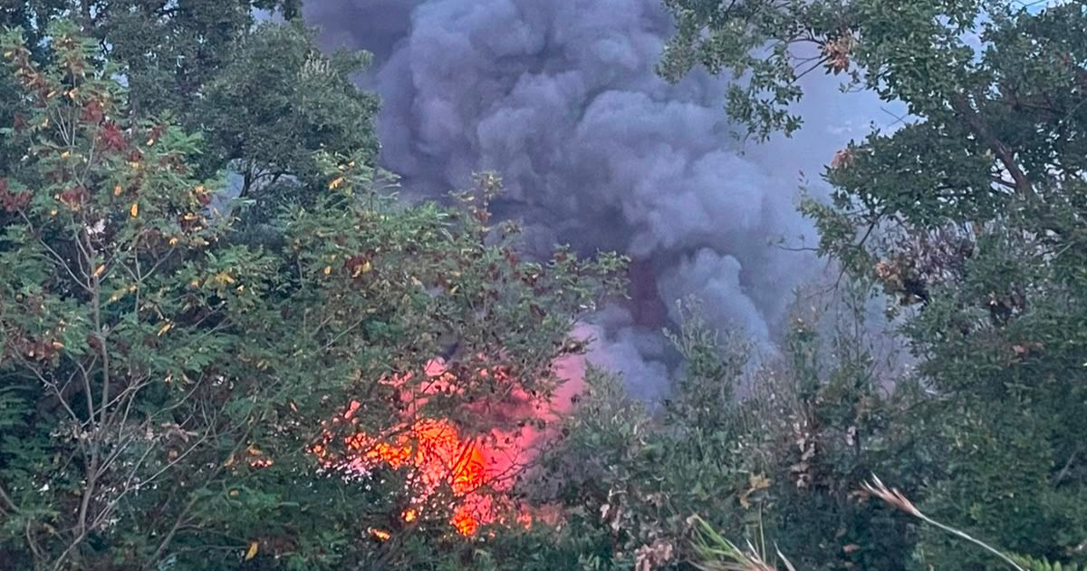 https://www.quotidianodelsud.it/wp-content/uploads/2026/10/incendio-discarica-pianopoli.jpg