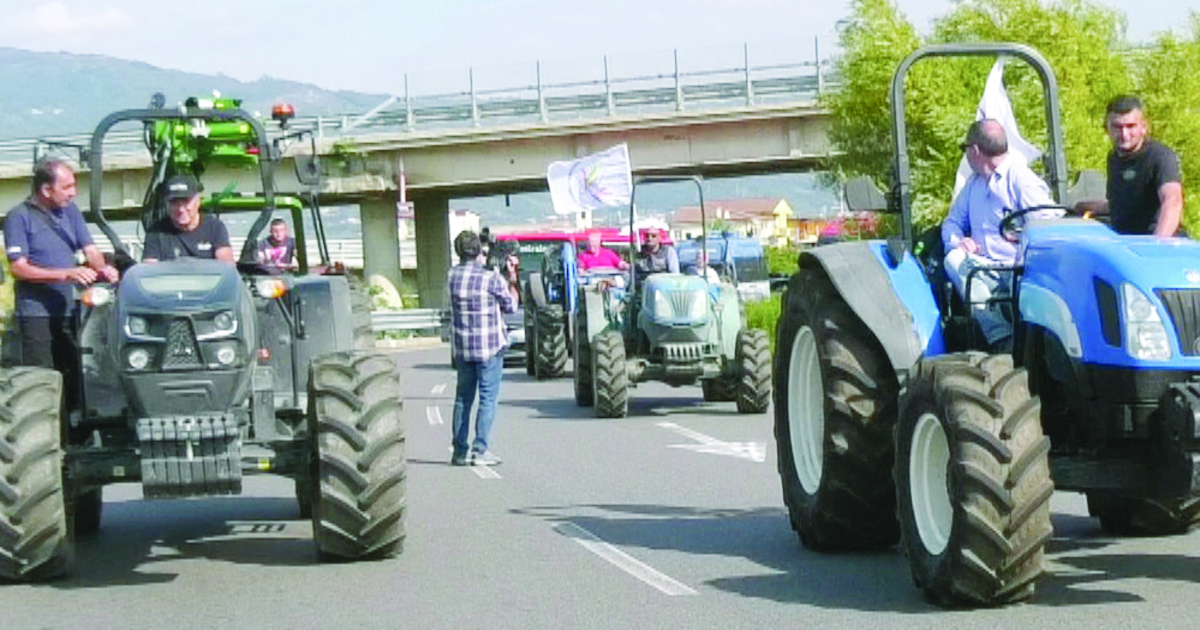 https://www.quotidianodelsud.it/wp-content/uploads/2026/10/lamezia-protesta-agricoltori.jpg