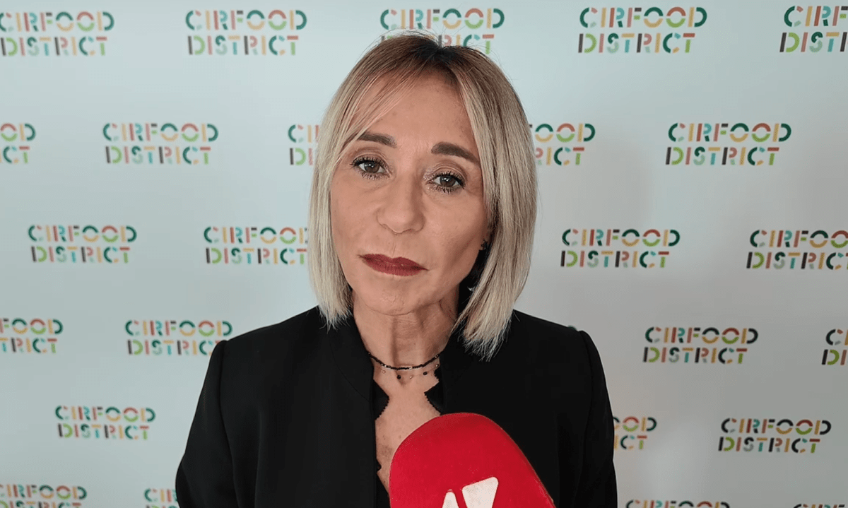 https://www.quotidianodelsud.it/wp-content/uploads/2026/10/nasi-comm.png
