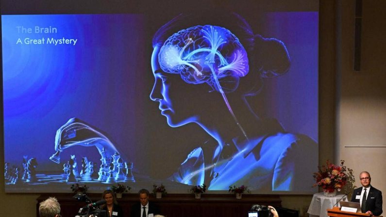 Un’alga e una luce blu: così è nata la scoperta che ha vinto il Nobel per la Medicina 2026