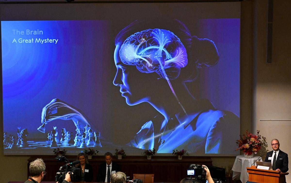 https://www.quotidianodelsud.it/wp-content/uploads/2026/10/nobel-pace-luceblu-afp.jpeg