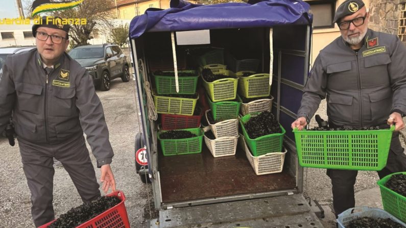 Ecomafia 2026: Basilicata ultima in Italia per pesca illegale