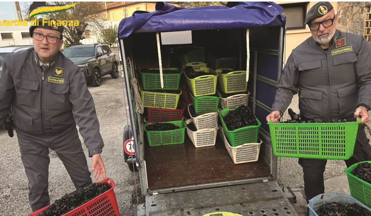 https://www.quotidianodelsud.it/wp-content/uploads/2026/10/novellame-sequestrato-basilicata-ecomafie.jpg