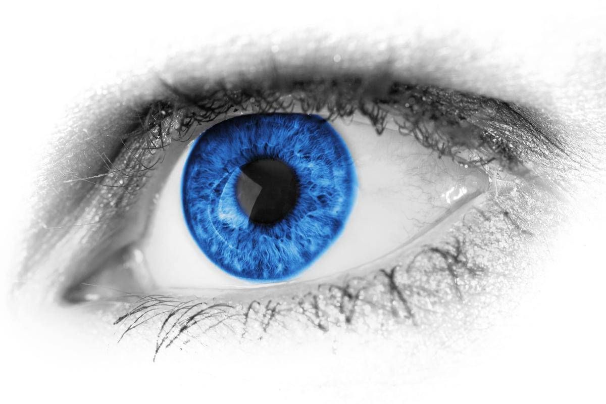 https://www.quotidianodelsud.it/wp-content/uploads/2026/10/occhio-blu-123rf-free.jpeg
