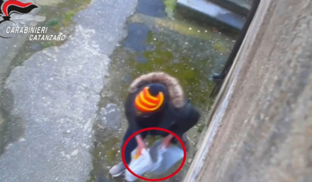Catanzaro, droga pagata con il reddito di cittadinanza, 24 indagati