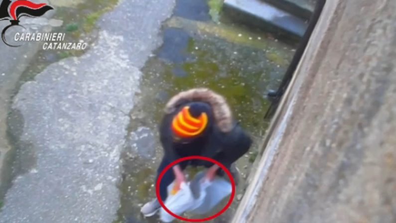 Catanzaro, droga pagata con il reddito di cittadinanza, 24 indagati