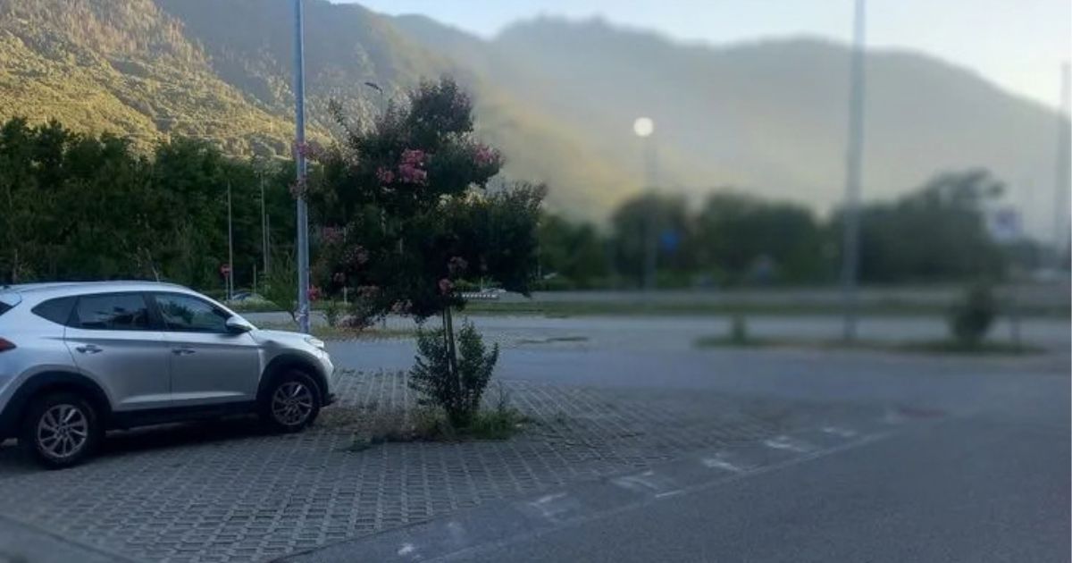 https://www.quotidianodelsud.it/wp-content/uploads/2026/10/operazione-lampo-valtellina.jpg