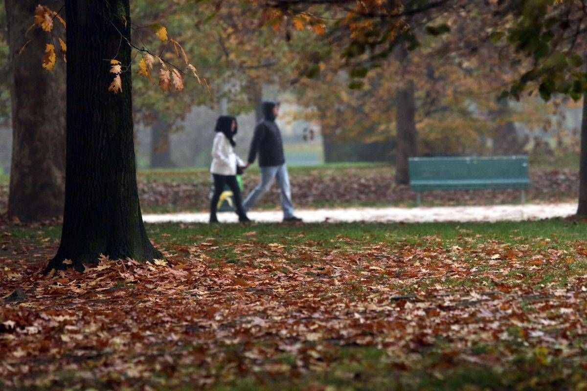 https://www.quotidianodelsud.it/wp-content/uploads/2026/10/parco-invaso-dalle-foglie.jpeg