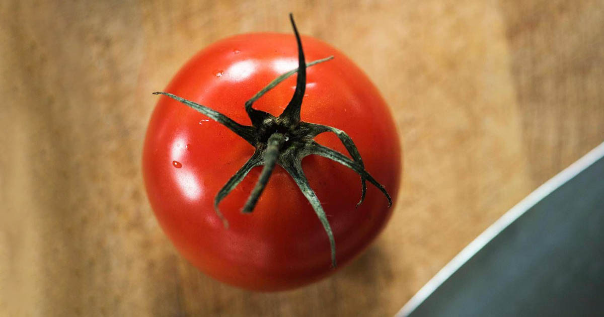Rischio salmonella a Bari, Asl vieta pomodori freschi in mense nidi ...