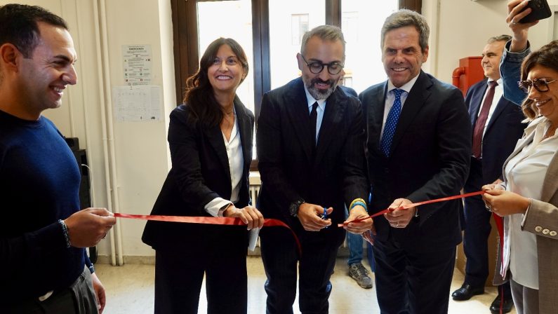 Xylella, dalla Regione Puglia 30 milioni di euro per il ripristino del potenziale produttivo delle aziende agricole