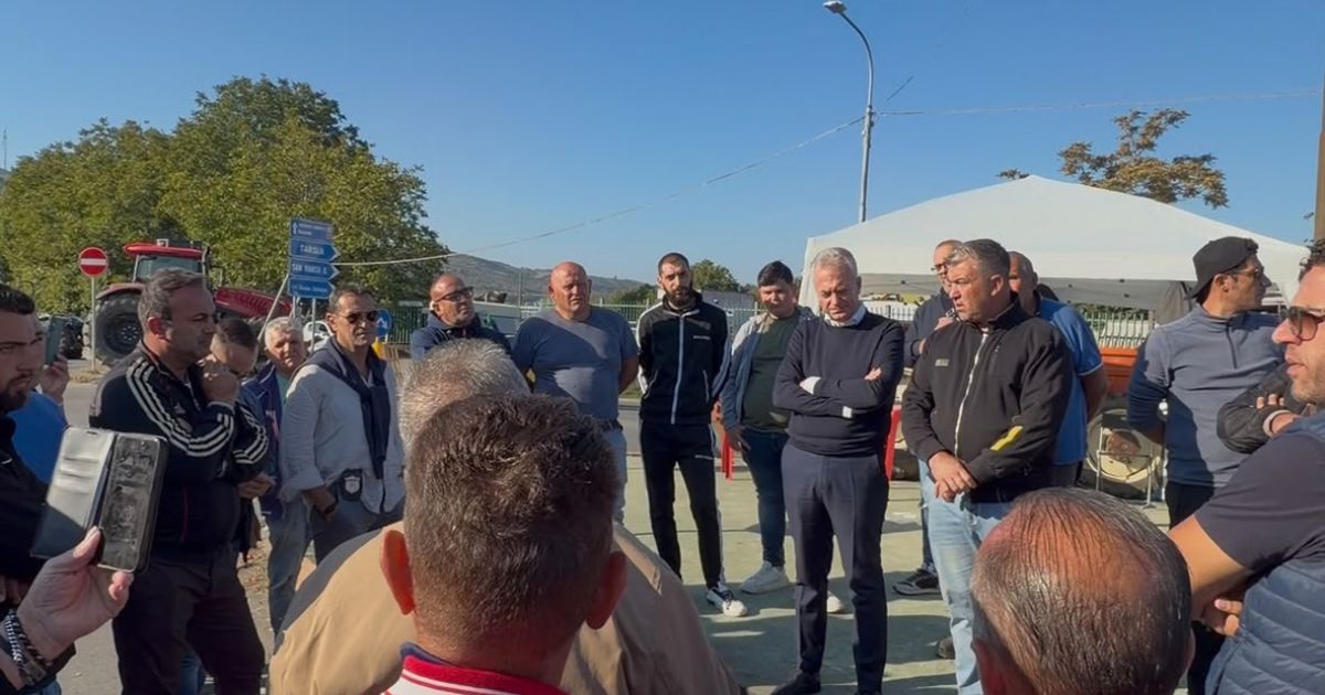 https://www.quotidianodelsud.it/wp-content/uploads/2026/10/progetto-senza-titolo-11.jpg