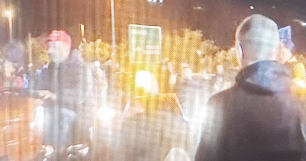 https://www.quotidianodelsud.it/wp-content/uploads/2026/10/protesta-a-falerna.jpg