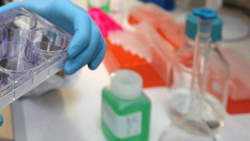 Cancro alla vescica, Berardi (Aiom): “Sangue nelle urine segnale da non sottovalutare”