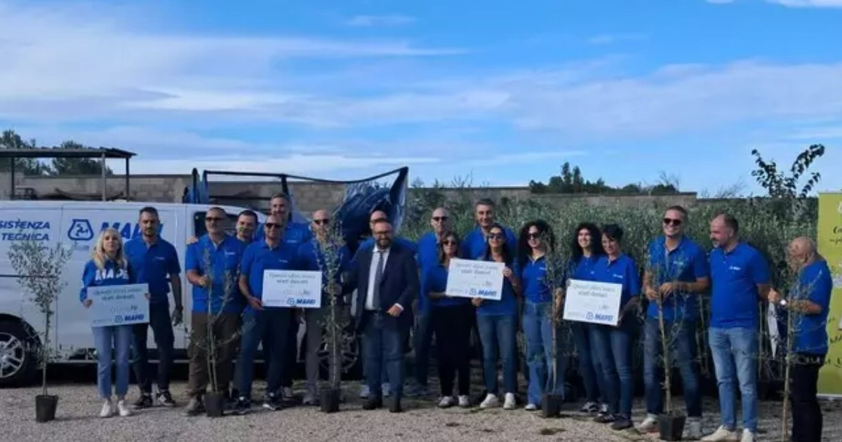 https://www.quotidianodelsud.it/wp-content/uploads/2026/10/ulivi-agricoltori.jpg