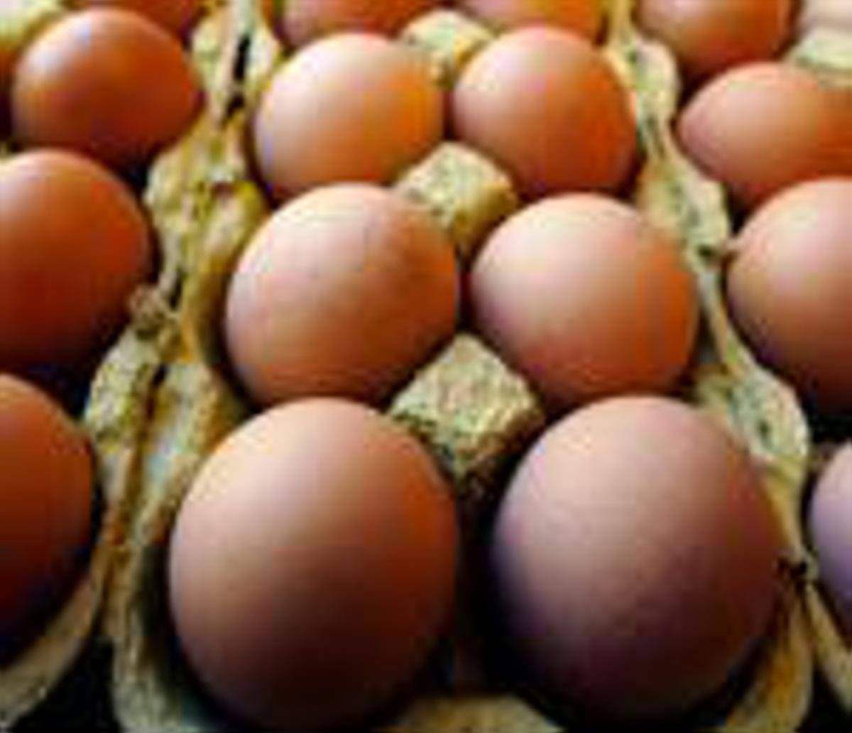 https://www.quotidianodelsud.it/wp-content/uploads/2026/10/uova-alimenti.jpeg
