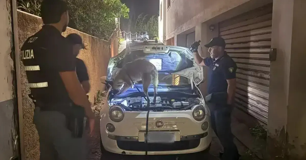https://www.quotidianodelsud.it/wp-content/uploads/2026/10/villa-san-giovanni-il-fiuto-del-cane-pablo.jpg